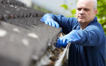 cleaning and inspecting Lislap roofs