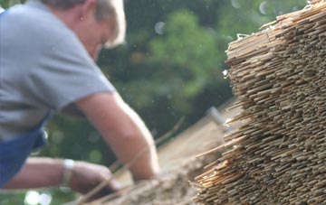 professional Lislap thatchers