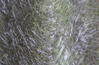 Lislap fibreglass roof work